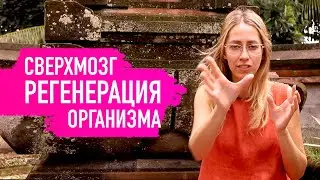 КАК Я ЗАПУСТИЛА ПРОЦЕСС РЕГЕНЕРАЦИИ СВОЕГО ТЕЛА