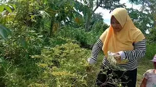 Rutinitasku disiang hari bersama suami dan keponakanku