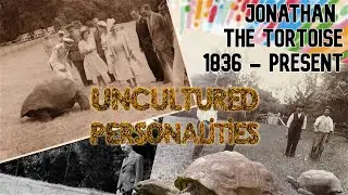 Jonathan the 193-Year Old Tortoise's Racist Past