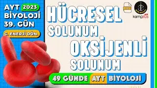 39) Hücresel Solunum ve Oksijenli Solunum | Canlılarda Enerji Dönüşümleri | AYT Kampı 39. Gün
