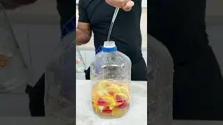 Margarita by The Gallon