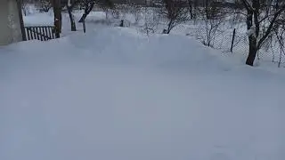 12 02 2021