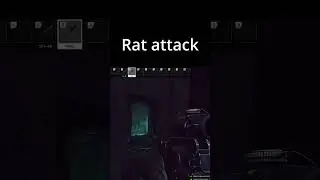 Rat Attack #escapefromtarkov