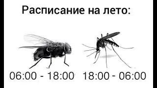 Юмор#ЛЕТО