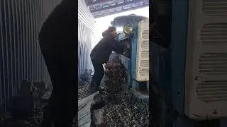 Запуск пускачем ДТ-75 после зимней стоянки 