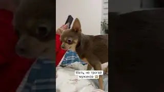 Лёня всегда спит между мамой и папой. Ревнует. О поцелуях не может идти и речи 🙈