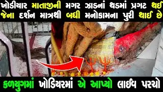 ગુજરાતનાં આ મંદિરે સાક્ષાત ખોડિયારમાં ની મગરે આપ્યા દર્શન | દર્શન કરવાં લાગી ભક્તોની લાંબી લાઈનો