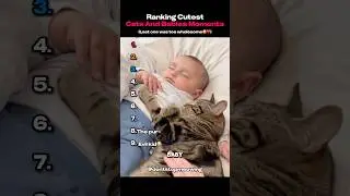 Ranking Cutest Cats And Babies Moments