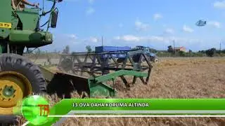 13 ova daha koruma altında