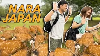 #LifeWithTheGs | Japan Part Two - Hello, Nara!
