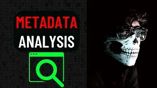 Web Document Metadata Analysis