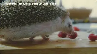 LG StanbyME | Телевизор, который всегда рядом.