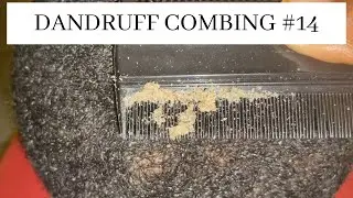 Dandruff combing #14