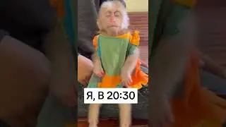 😂 КОГДА ТЕБЕ 40+ 😂