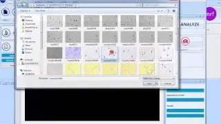 SCA Tutorial - Import from file