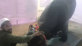 भीम रेडा