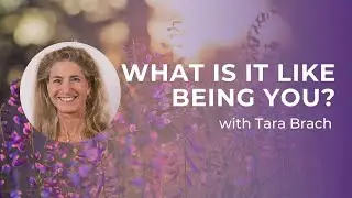 What Is It Like Being You? With Tara Brach