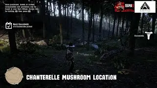 Red Dead Redemption 2: Chanterelle Mushroom Location
