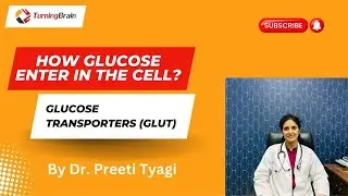 Glucose Tranporters