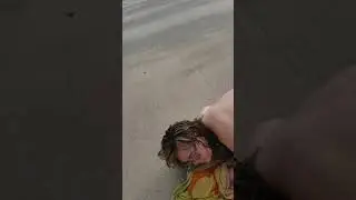 drunk and passed out on Mad Beach