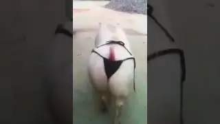Вау красивое попка