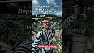 13 августа 2024 г.