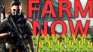 So many PVEers FARM THE DZ NOW! Try this build. Division 2 Season 11 DZ