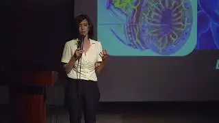 יש מוח במעיים - מערכת העצבים המעית מוח המעיים ד"ר ליאת יקיר