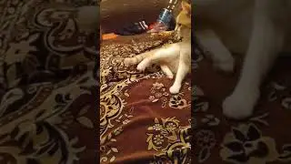 Идут бои за территорию.