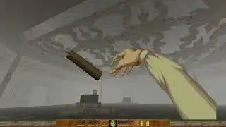 Let's Play PIRATE DOOM! | Map 10: Lost City (BearlyGamer)