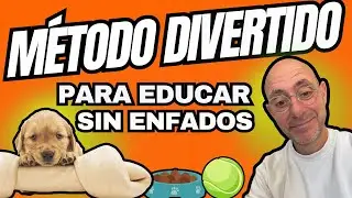 FORTALECE el VÍNCULO con tu CACHORRO (Juegos y Educación Divertida)