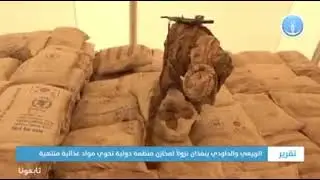 فضيحة منظمات الامم المتحدة في اليمن