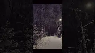 雪⛄️#dreamcore #snowcore