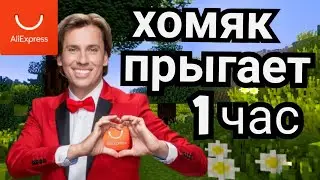 хомяк прыгает под распродажа на Али