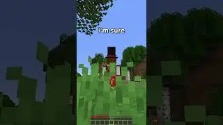 NEW MINECARTS!! FINALLY!!