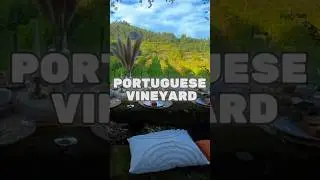 Vinho Verde, meaning 