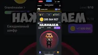 НОВЫЙ СЕКРЕТНЫЙ ШИФР В ХАМСТЕР КОМБАТ  КАК ПОЛУЧИТЬ МИЛЛИОН МОНЕТ В HAMSTER KOMBAT