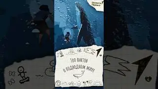 факты о подводном мире #факты #подводныймир #море #океан #интересныефакты #топ