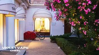 Violet Vape - Cheel🎶 No Copyright Sound 🎶 YouTube Audio Library 🎶
