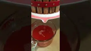 Wine and Mead Making (Full Playlist Link in Description)