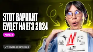 ПОЛНЫЙ РАЗБОР ЕГКР по химии 2024 | Катя Строганова