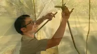 Royal Eden Tent (Bell tent New version )