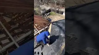 Roof framing 
