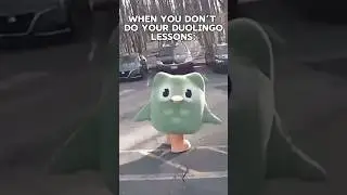 When You Don’t Do Your Duolingo Lessons 