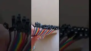 Dupont maschio a femmina Saltatore Filo 40Pz - COLORATO