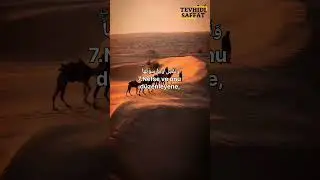 Şems suresi/Güneş’e ve onun aydınlığına andolsun/Onu(nefsini) arındıran,kesinlikle kurtuluşa ermiştr