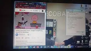 Snoopy and Charlie Crying has BSOD