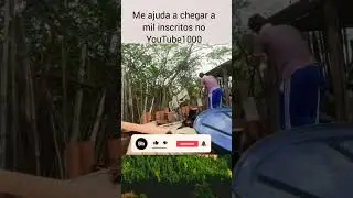 trabalhando mais um dia na correria fazendo a casa do cachorro