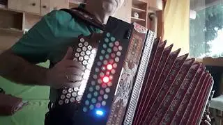 Rehbraune Augen | Steirische Harmonika | GCFB