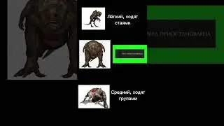 Жесть, а не зверь #мем #stalker